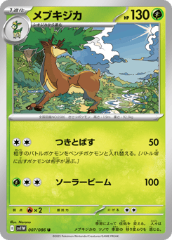 Japanese Sawsbuck (メブキジカ)
