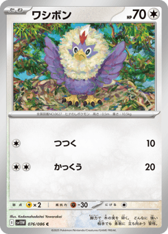 Japanese Rufflet (ワシボン)
