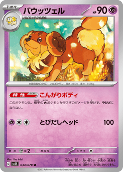 Japanese Dachsbun (バウッツェル)