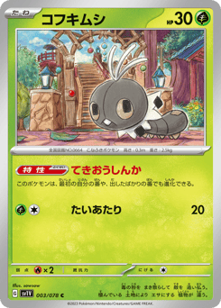 Japanese Scatterbug (コフキムシ)