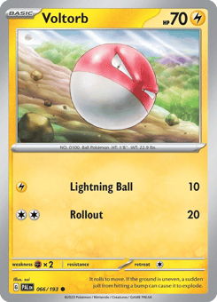 Voltorb Paldea Evolved #66