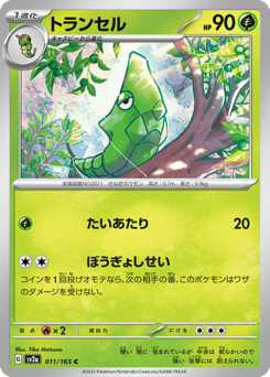 Japanese Metapod (トランセル)