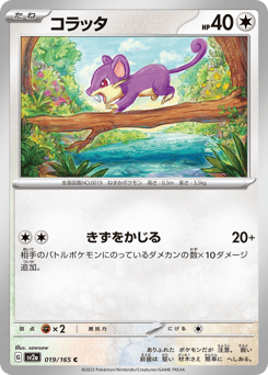 Japanese Rattata (コラッタ)