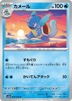 Japanese Wartortle (カメール)