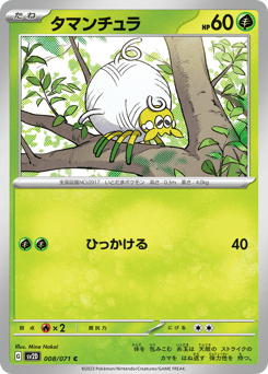 Japanese Tarountula (タマンチュラ)
