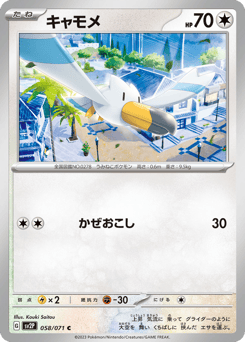 Japanese Wingull (キャモメ)