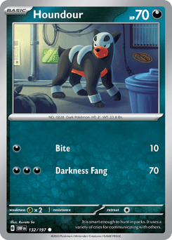 Houndour Obsidian Flames #132