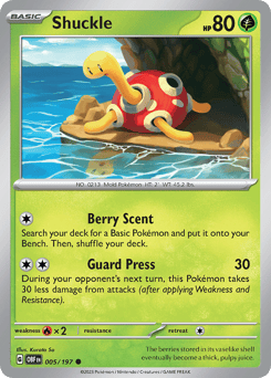 Shuckle Obsidian Flames #5
