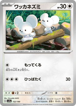 Japanese Tandemaus (ワッカネズミ)