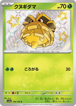 Japanese Pineco (クヌギダマ)
