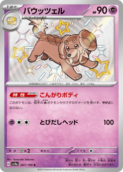 Japanese Dachsbun (バウッツェル)