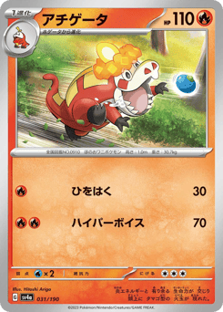 Japanese Crocalor (アチゲータ)