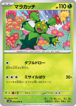 Japanese Maractus (マラカッチ)
