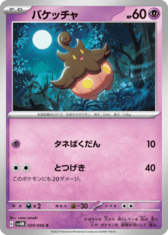 Japanese Pumpkaboo (バケッチャ)