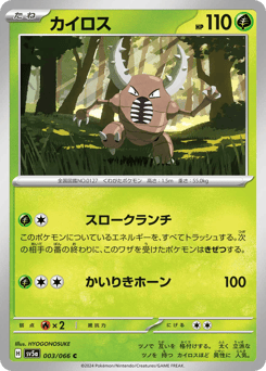 Japanese Pinsir (カイロス)