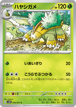 Japanese Grotle (ハヤシガメ)