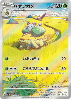 Japanese Grotle (ハヤシガメ)