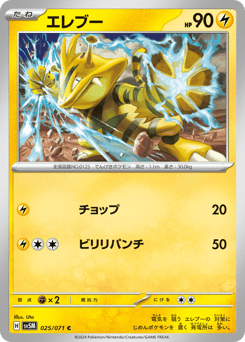 Japanese Electabuzz (エレブー)