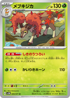 Japanese Sawsbuck (メブキジカ)