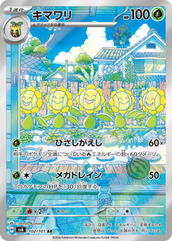 Japanese Sunflora (キマワリ)