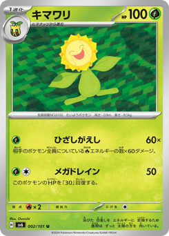 Japanese Sunflora (キマワリ)