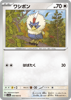 Japanese Rufflet (ワシボン)