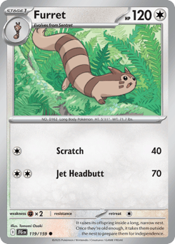 Furret Journey Together #119