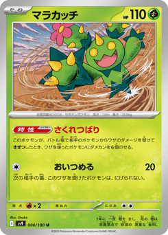 Japanese Maractus (マラカッチ)