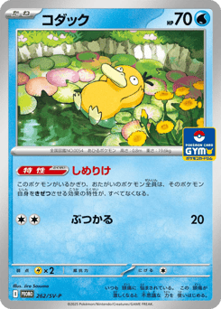 Japanese Psyduck (コダック)