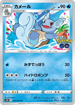 Japanese Wartortle (カメール)