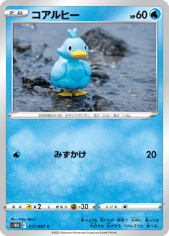 Japanese Ducklett (コアルヒー)