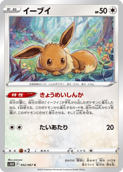 Japanese Eevee (イーブイ)