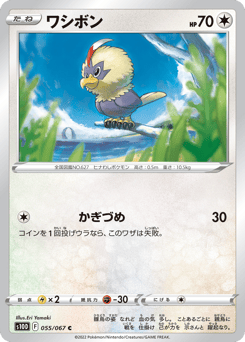 Japanese Rufflet (ワシボン)
