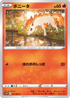 Japanese Ponyta (ポニータ)