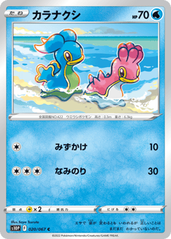 Japanese Shellos (カラナクシ)