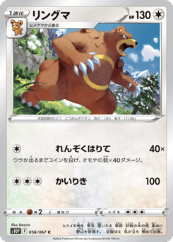 Japanese Ursaring (リングマ)