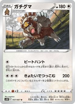 Japanese Ursaluna (ガチグマ)