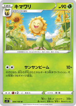 Japanese Sunflora (キマワリ)