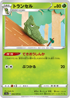 Japanese Metapod (トランセル)