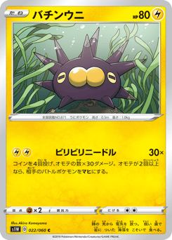 Japanese Pincurchin (バチンウニ)