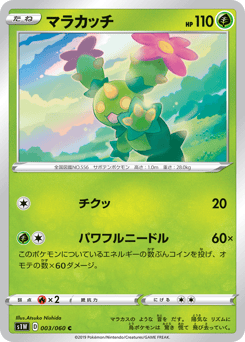 Japanese Maractus (マラカッチ)