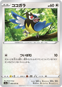 Japanese Rookidee (ココガラ)