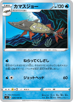Japanese Barraskewda (カマスジョー)