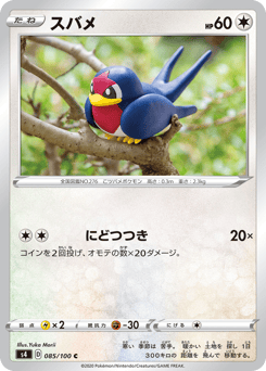 Japanese Taillow (スバメ)