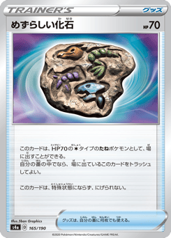 Japanese めずらしい化石 (めずらしい化石)