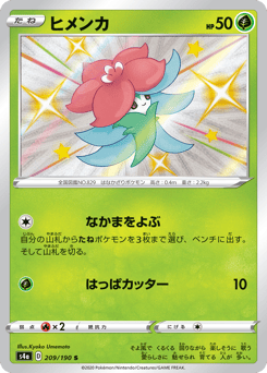 Japanese Gossifleur (ヒメンカ)