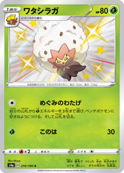 Japanese Eldegoss (ワタシラガ)