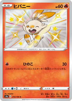 Japanese Scorbunny (ヒバニー)