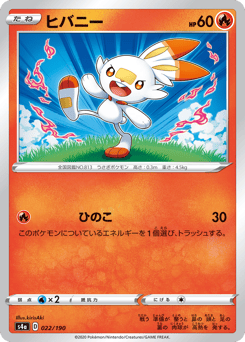 Japanese Scorbunny (ヒバニー)
