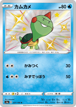Japanese Chewtle (カムカメ)